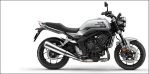 Speedo Angels Dashboard Screen Protector to fit Honda CB1000F 2026